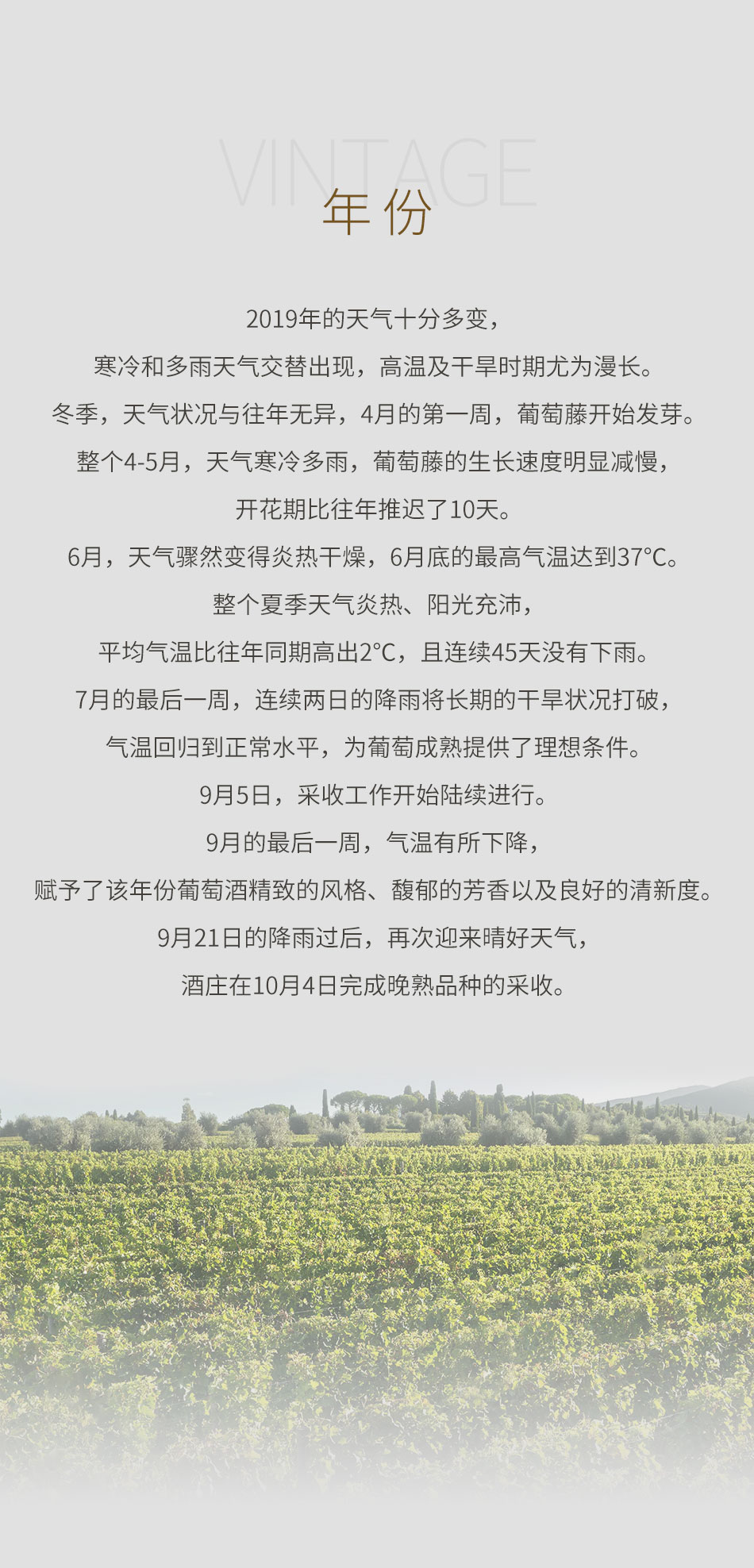 2019年奥纳亚乐福特红葡萄酒