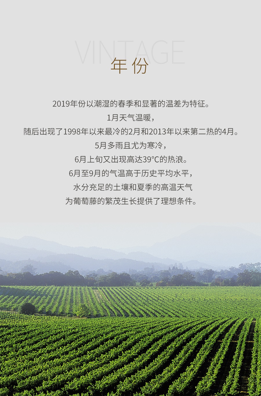 2019年多明纳斯酒庄红葡萄酒